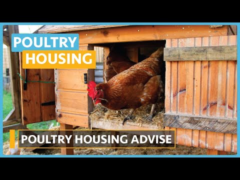 Poultry House Construction Lesson 1 Introduction