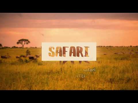 download lagu mp3 mp4 Safari Do Pedro, download mp3 Safari Do Pedro free download, download mp3 Safari Do Pedro