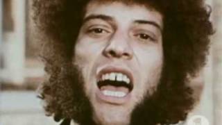 Mungo Jerry In The Summertime Video