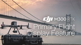 DJI Matrice 300 Video 2142