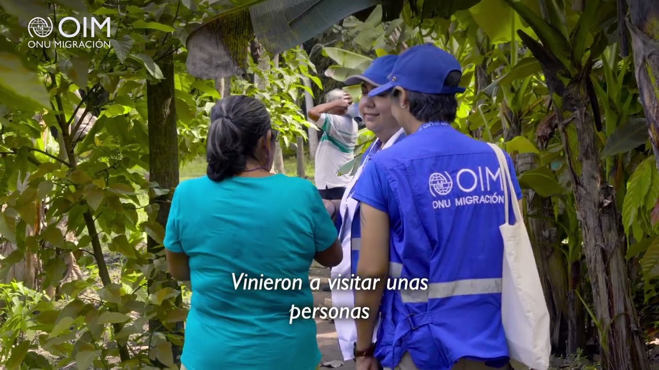 Raíces de cacao: esperanza y futuro en la parcela 🌱🍫