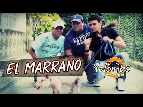 El Marrano - Los De Yolombó l Video Oficial