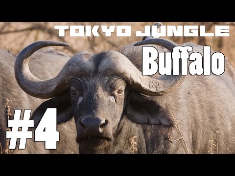 Tokyo Jungle: Buffalo Survive over 100 years Part 4 of 4