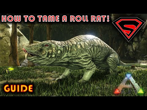 ARK HOW TO TAME A ROLL RAT - EVERYTHING YOU NEED TO KNOW ABOUT TAMING A ROLL RAT