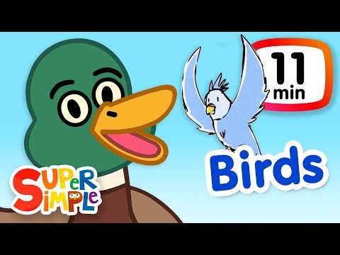 The Super Simple Show - Birds  | Cartoons For Kids