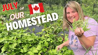 July On Our Canadian Homestead | Garden Tour