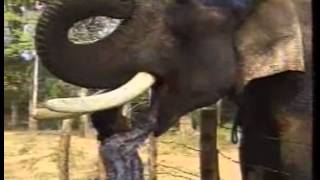 Download lagu Surabhi - Episode 326 - Renuka Shahane and Siddharth Kak mp3