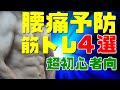 【筋トレ初心者】腰痛予防の筋トレ4選~超低負荷の腹筋を極める~
