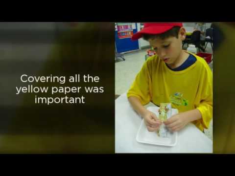 5D papier mache Cakes, Pies & Pizza