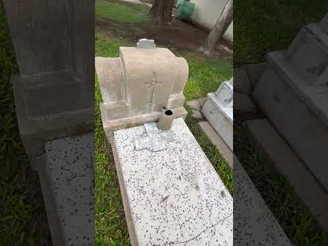 Cementerio Franck -Santa fe🍂✝️