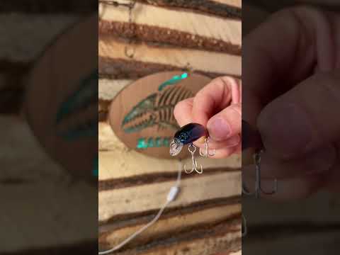 Next Best Fishing Lure?