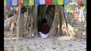 The Boy With Divine Powers - Nepali Buddha Boy - Part 5