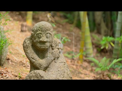 【本編2】神様と共に暮らすまち伏見稲荷