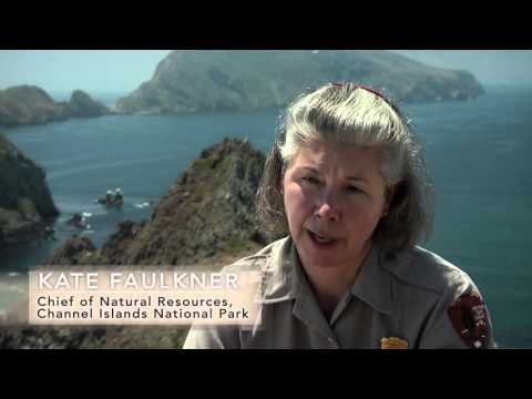 Short Version Achieving Balance: Anacapa Island Ten Years After the Removal of the Black Rat