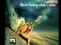 Adrian Sina - Angel feat Sandra N.wmv 