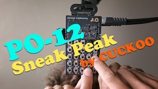 Video thumbnail for PO-12 Sneak Peek - by CUCKOO by True Cuckoo