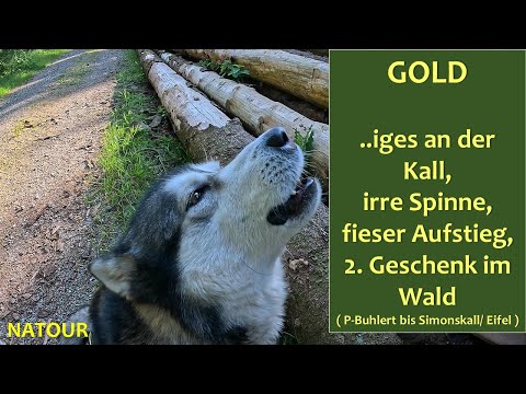 Kall Tal : Gold, Panoramen und eine unvorsichtige Spinne
