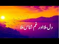 Sad Poetry In Urdu-Dil Mila Aur Gham Shanas Mila-Sad Urdu Ghazal Shayari