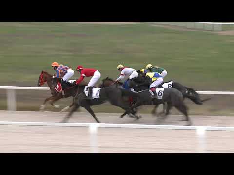 2021.04.18. 06. futam - BÁRÓ WENCKHEIM BÉLA EMLÉKVERSENY HENDIKEP (V/b.) (szintetikus pálya)