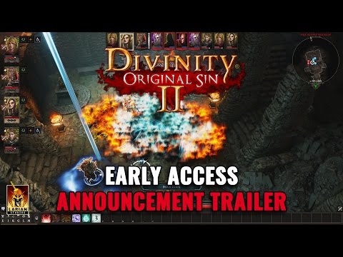 Divinity: Original Sin 2