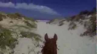 preview picture of video 'Horse riding on Noordhoek Beach'