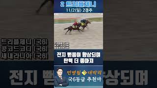 [서울 경마] 민병철 대박픽 2025년 11월 2일 일요 2R 추천마1 #경마 #하이라이트 #한국마사회 #검빛 #고배당 #코리아