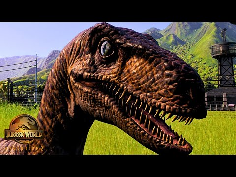 Velociraptors Enter our Ethical Jurassic Park!