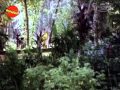 Elanji Pookkal 1986 Malayalam Full Movie Mukesh Online Full Malayalam Movie