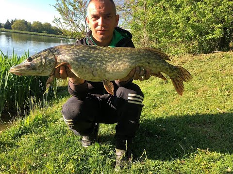 Borostyán tó Zalalövő