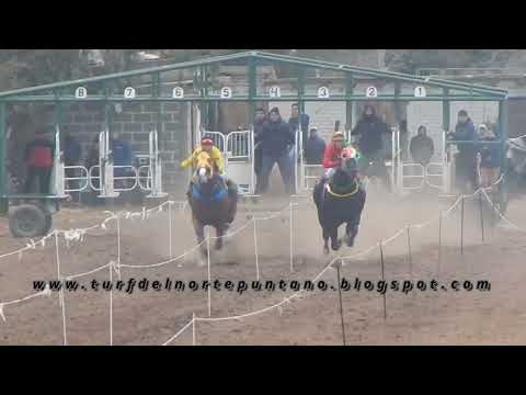 ENERGY LEW, Quines (29-6-25)