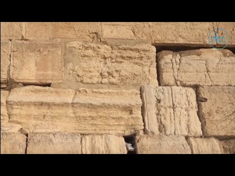 Tisha B'av: Connecting to Geula | Rabbi Nachum Binder