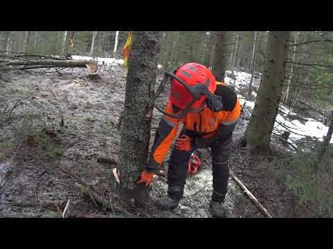 Metsolan Metsäkoulu 95, Köyhän miehen kaatovehkeet