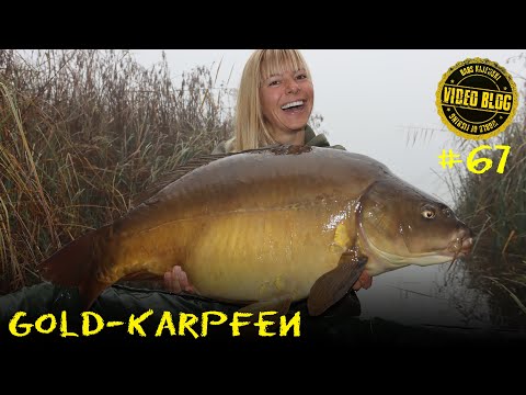 Neues Gewässer = Großkarpfen? SOWAS VON!!!!!!!