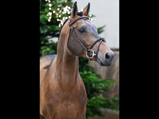 Tor Ter Doorn Z - walk & 360