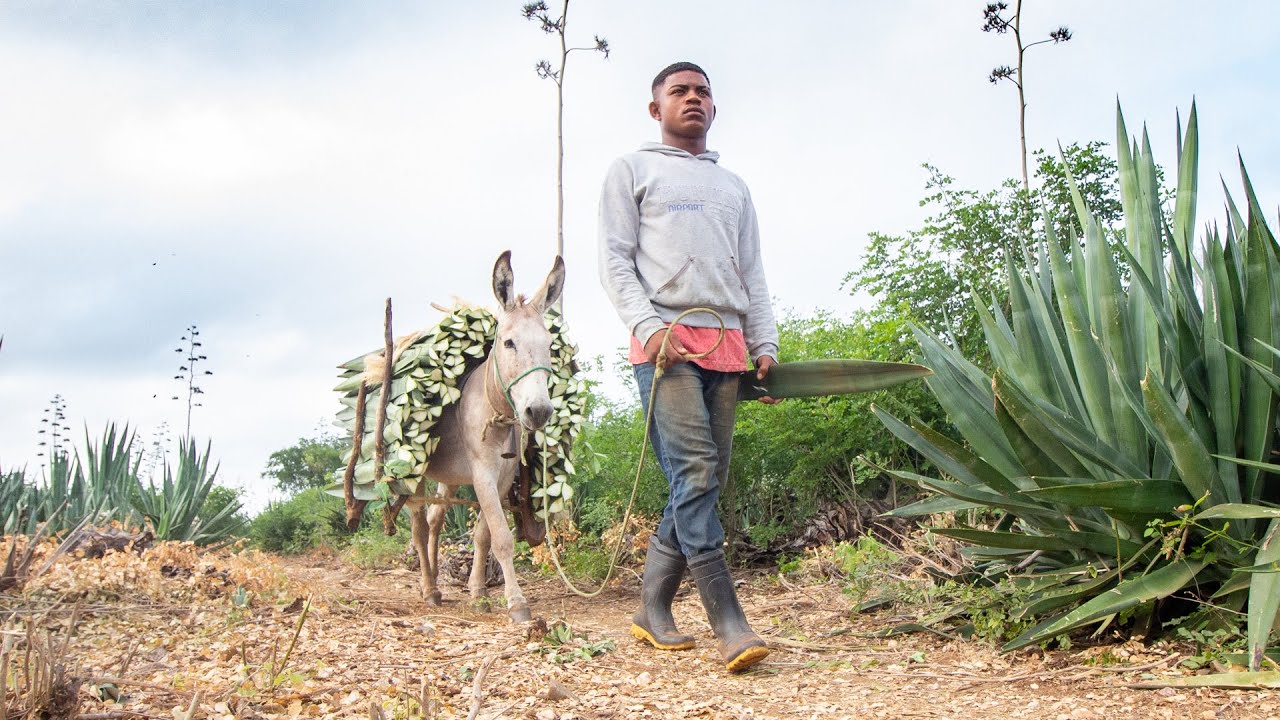 Interlaced Lives in the Youth and Adult Education Program (Documentary)