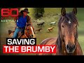 Last great muster to save Australia's wild horses | 60 Minutes Australia