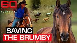 Last great muster to save Australia's wild horses | 60 Minutes Australia 