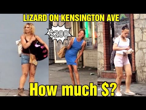 Lizard On Kensington Ave, Kensington Street's Walkers????