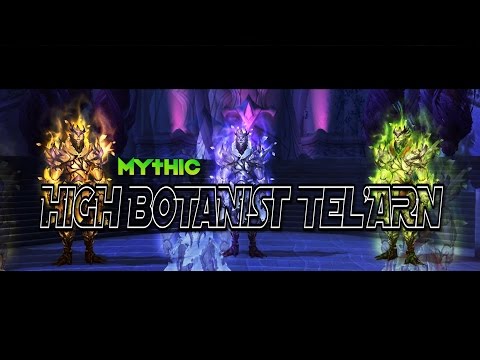 Azys VS High Botanist Tel'arn (Mythic Multi PoV)