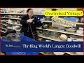 Overlooked Vintage! Thrifting at Biggest Goodwill Store in the World with Dr. Lori