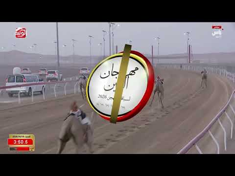 ش 1 (نور) لـ محمد عيد بالغبشي العامري 6:28:66 ، مهرجان العين 2026/08/08 ثنايا الروضة