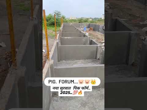 New pig farm with full #pig_farm_traning #pig #pigfeed #pigbreeding #pigfarming #nj_farming