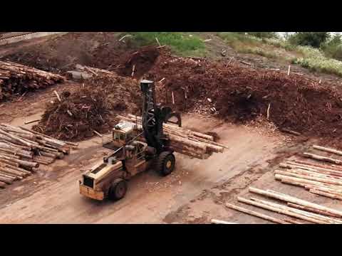 video frame placeholder