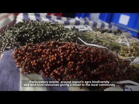 BAIF | Snippet |  Agro biodiversity conservation | 2021