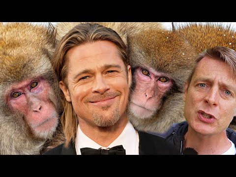 Monkey or Brad Pitt: What Looks for Dating 9s & 10s in New Europe? (Looksmaxxing & Nichemaxxing)
