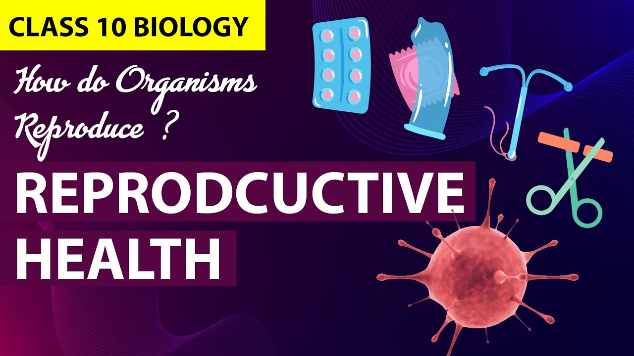 How Do Organisms Reproduce (Animation)  PART-6 | CBSE Class 10 Biology Chapter 7 | NCERT