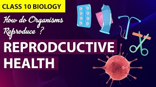 How Do Organisms Reproduce (Animation)  PART-6 | CBSE Class 10 Biology Chapter 7 | NCERT