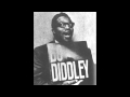 Bo Diddley - Bo's Twist