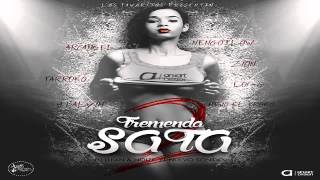 Tremenda Sata Remix 2 -  Arcangel Ft  Lui G 21 Plus, Ñengo Flow, Ñejo, Farruko, J Balvin &amp; Zion