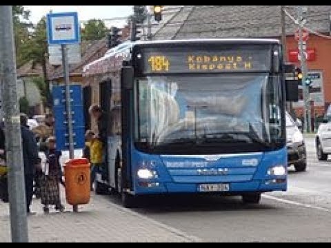 Budapest,184.-es busz(Kőbánya,Kispest M.-Pestszentimre,Benjamin utca)bus line nr.184.